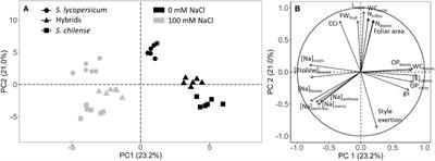 Comparison of the salt resistance of Solanum lycopersicum x Solanum chilense hybrids and their parents